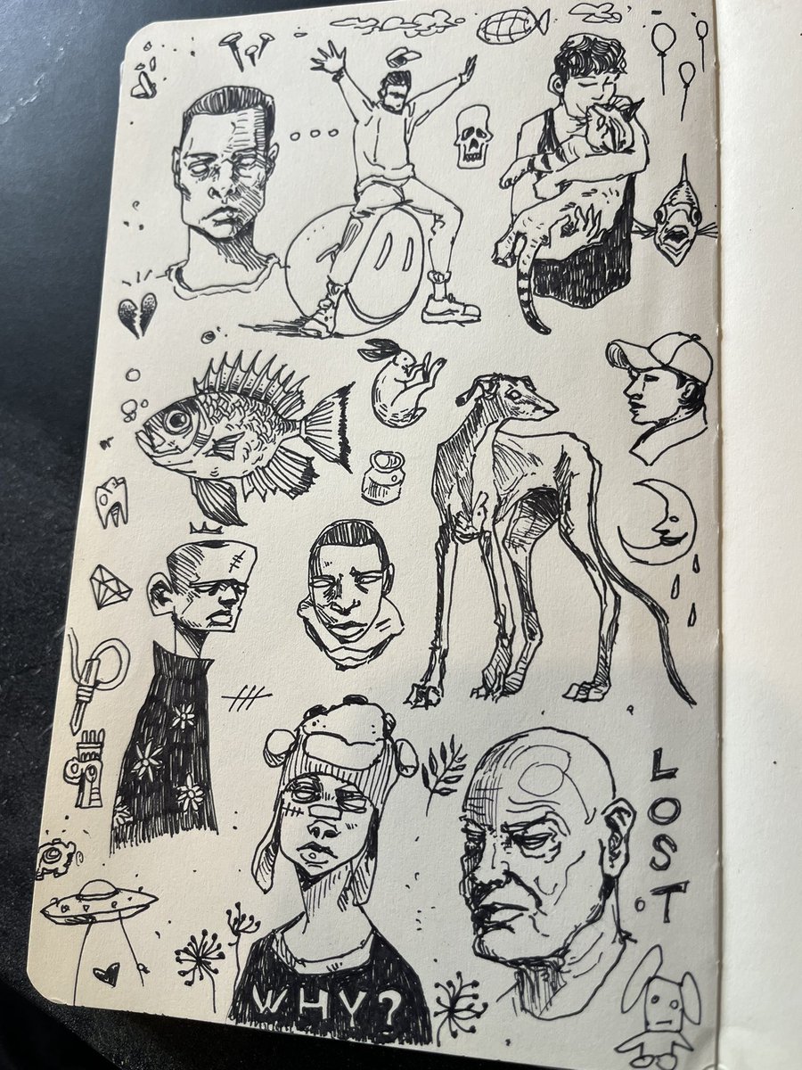 Objectif: finir de remplir le carnet avant 2026