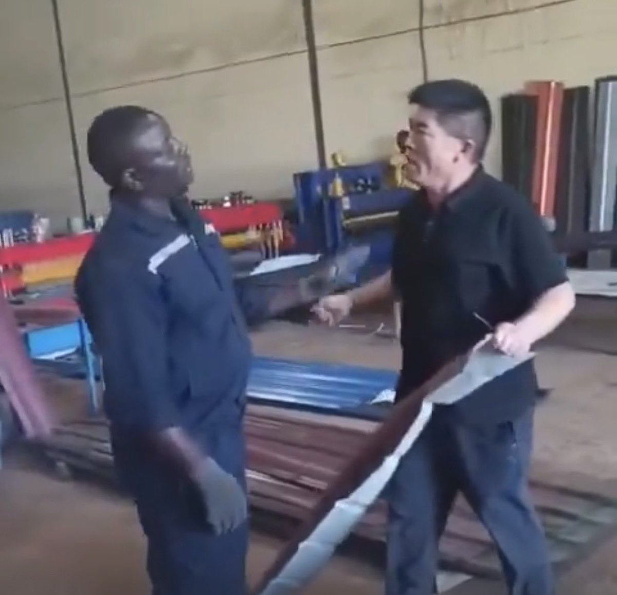 Germinating Seed tweet media