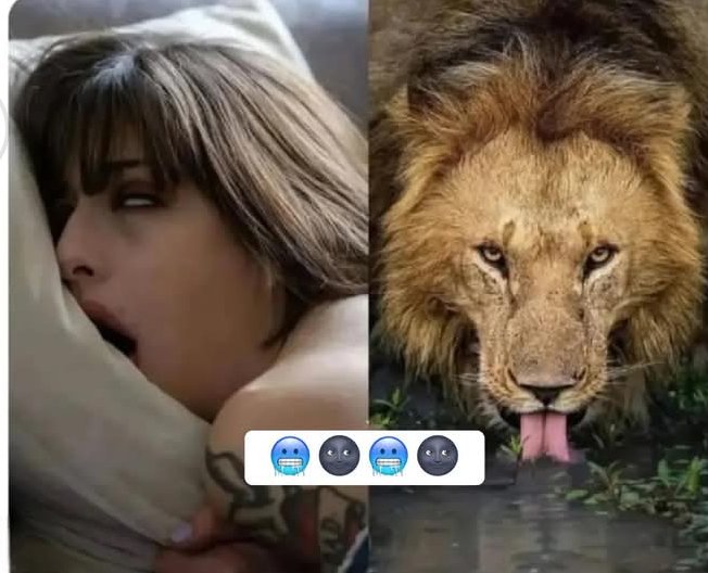 What is happening😂🙈 <a href="/___SPAZ___/">Fʉͫcͧкͭιͪηͣ Holli Would</a> <a href="/AdeleAdelewill/">Del Di</a> <a href="/AgeofSmut/">Eric</a> <a href="/AlphaFemale7519/">Roberta L Peters</a> <a href="/BabeCoIIect/">BabeCollect² - Fan Account</a> <a href="/BialkoAndrew68/">Saltyandy 🇺🇸 🇺🇸 🇨🇦🇨🇦</a> <a href="/Bloodofkirby78/">Bloodofkirby7878</a> <a href="/ClayDeux/">Lake Boss 🚤🐟🐕‍🦺🇺🇸</a> <a href="/ConnieJoJo2/">Connie Satterfield</a> <a href="/DeetWeds/">Deetweds 🇺🇦🌻😷</a> <a href="/GeneralPatton83/">Patton</a> <a href="/KantPhalen/">PhalenKant</a> <a href="/MadisonCarly26/">Crime and PUNishment</a> <a href="/sootyblood79/">SOOTY BLOOD ~ 👻🖤💗🇦🇺🍿🍹🍻🦩</a> <a href="/SnarkyPotatoes/">иι¢σℓє🦃🥔ᵃᵏᵃ ˢⁿᵃʳᵏʸ ᵍᵒᵇᵇˡᵉʳˢ</a> <a href="/Samcro8678/">SamcroChiTown🇺🇲🏴‍☠️</a> <a href="/KZvonaric/">krešimir zvonarić</a> <a href="/GlamIsabela/">Isabela Moreira 🌹</a>