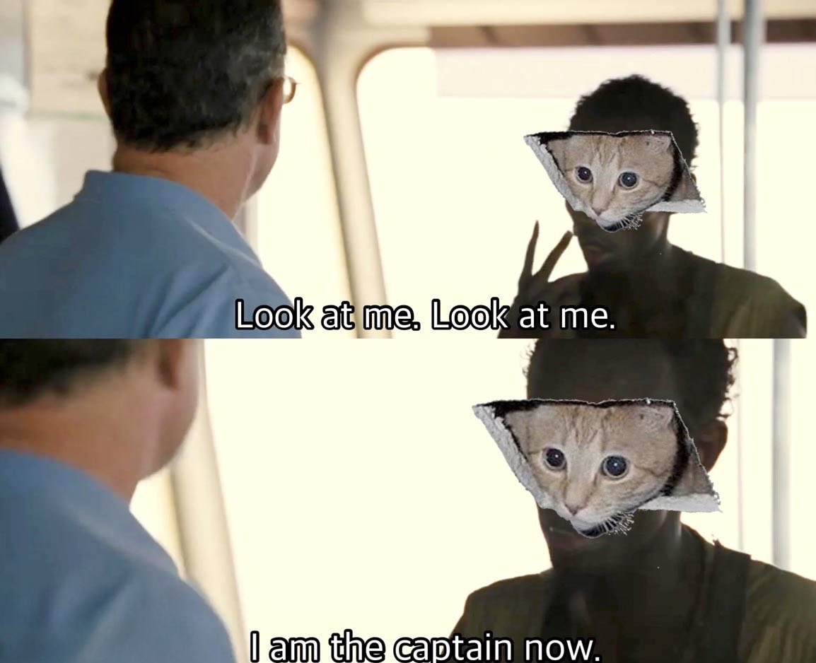 ceilingcat tweet media