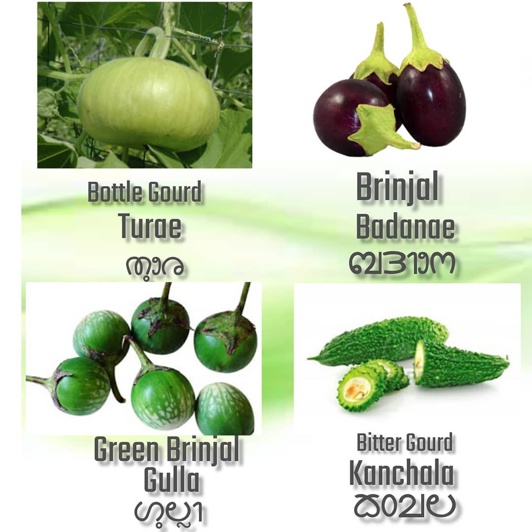 everyday_tulu's tweet image. Reposting all the Vegetables in Tulu series! 🥕🥦
Bringing back our old posts to help everyone learn Tulu in a fun and simple way. Stay tuned! 🌱📚 #EverydayTulu #TuluLanguage