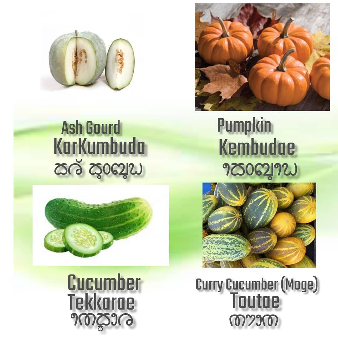 everyday_tulu's tweet image. Reposting all the Vegetables in Tulu series! 🥕🥦
Bringing back our old posts to help everyone learn Tulu in a fun and simple way. Stay tuned! 🌱📚 #EverydayTulu #TuluLanguage