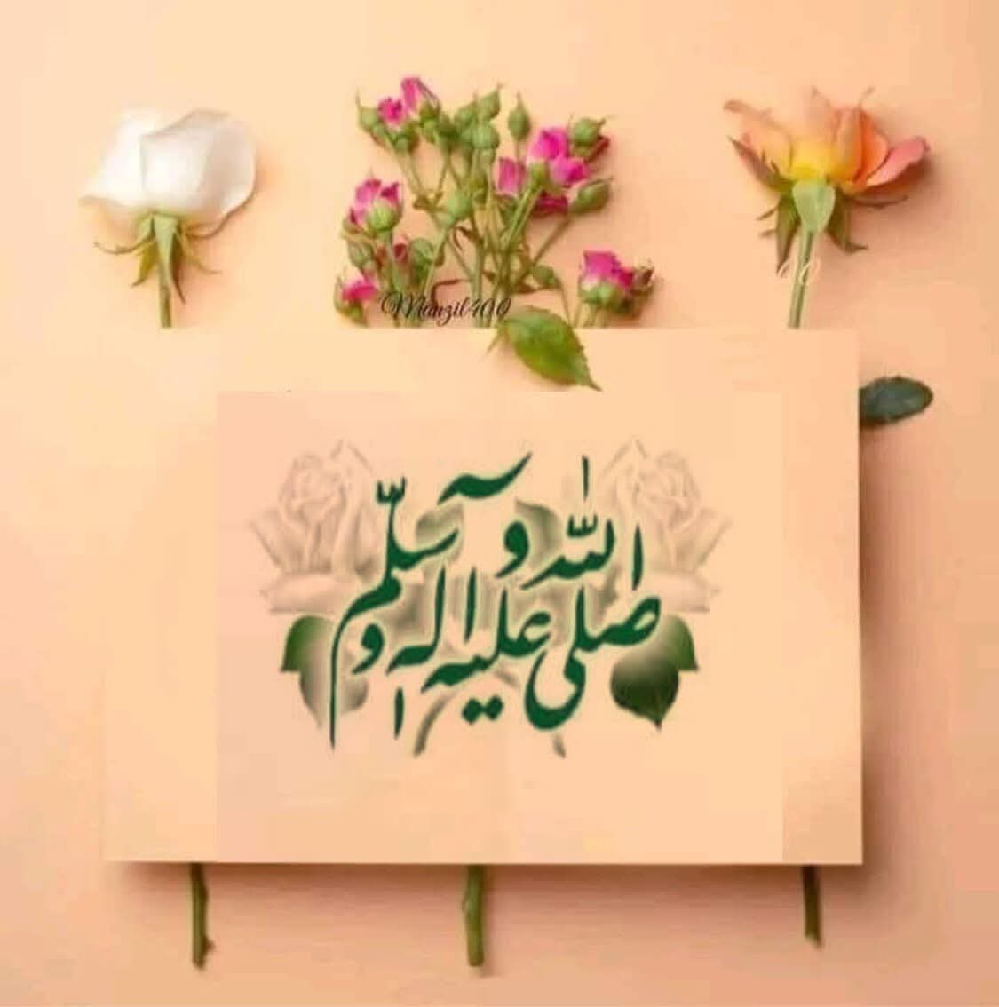 صل اللہ علیہ والہ وسلم 🧡🧡🧡

#خاتم_النبیین_محمدﷺّ