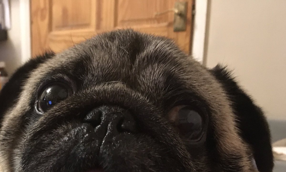 Sallypug's tweet image. Is it too early to mention.....ahem.... Kissmas? #kissesforKissmas xxxx 🎅🏻🎅🏻🎅🏻😳😬🫣😱