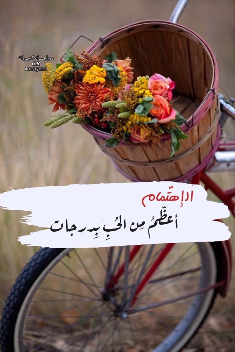 الاهتمام أعظم من الحب بدرجات… فالحب كلمة، والاهتمام فعل يثبتها❤️
#مساء_الخير
 #مساء_الخير_والسعاده