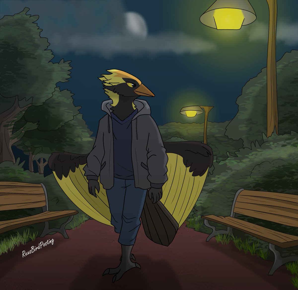 Rex, International Poster of Birds🐦🦅🦉🦤 tweet media