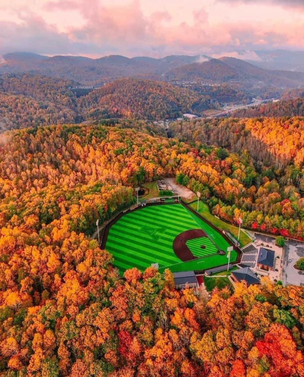 Dingeruns tweet media