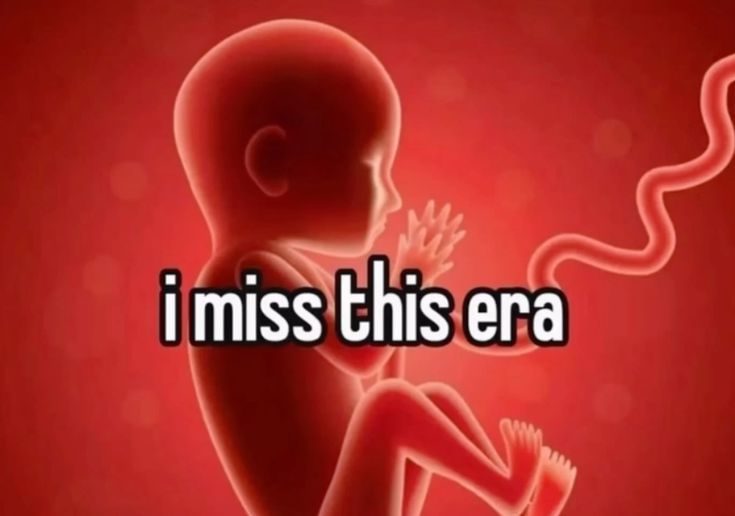 __crazydoc__'s tweet image. 