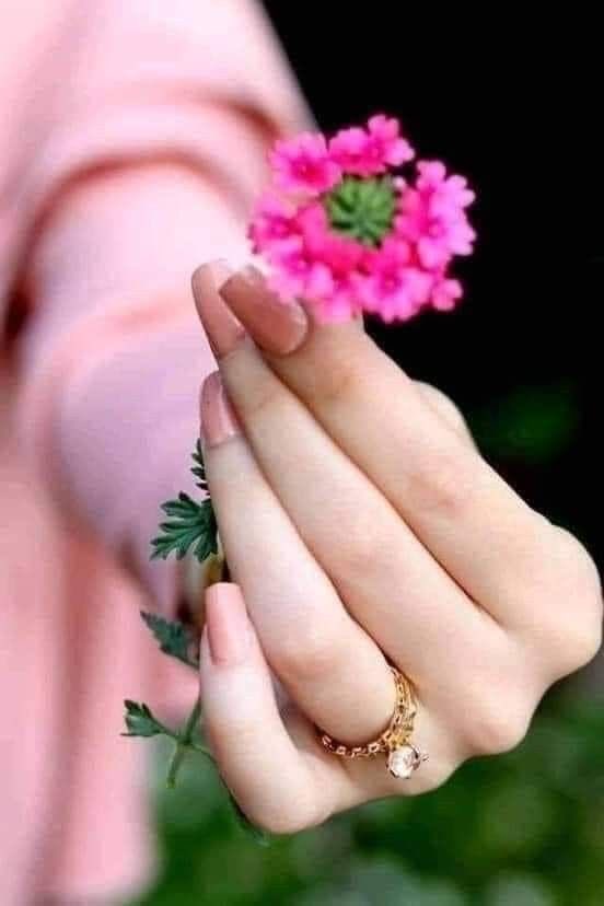 mansor_919's tweet photo. علي  قَدر الإهْتِمَام نزهر https://t.co/tNhi0o1uTB