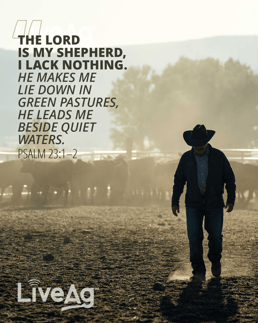 live_ag_auction's tweet image. Psalm 23:1–2
🌿 The Lord is my Shepherd; I lack nothing. In His care, there is peace and rest.

#TheLordIsMyShepherd #WeLiveIt #SundayScripture