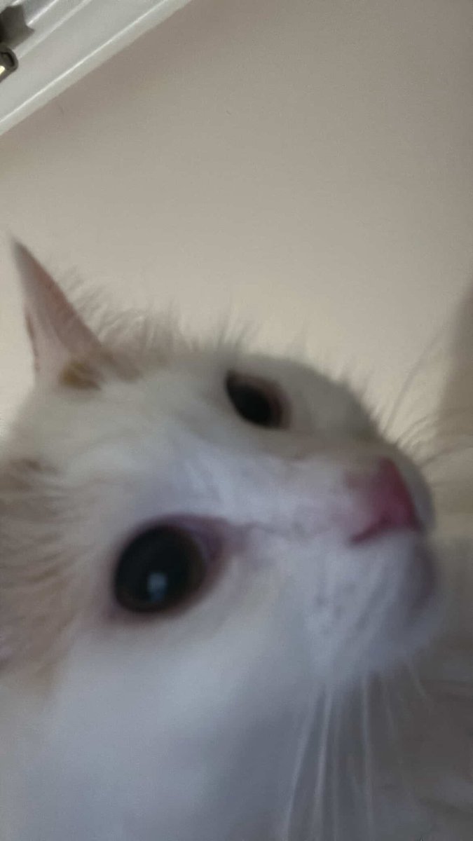 Arrowkumi's tweet photo. I got things in my drafts that are ready to post but I always either forget or just hesitate on posting. https://t.co/7lPorn4OvE