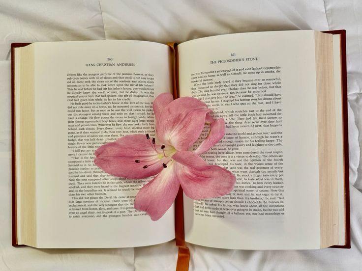 Jules 🌸 tweet media