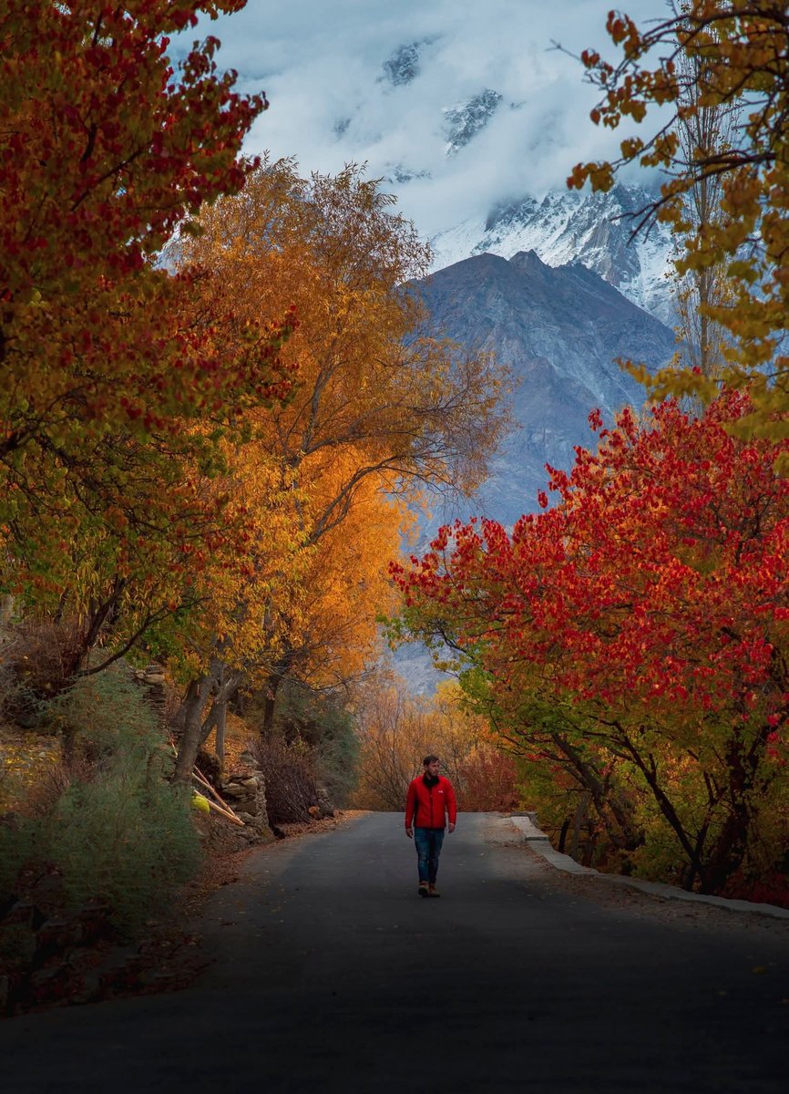 Let's go for a walk 💕