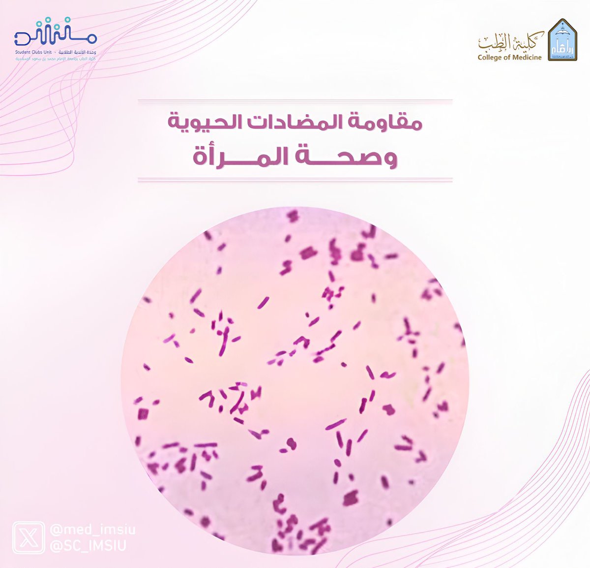 وحدة الأندية الطلابية | Student Clubs Unit tweet media