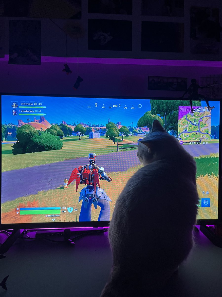 ROIDNB's tweet image. Y’a pas de galère