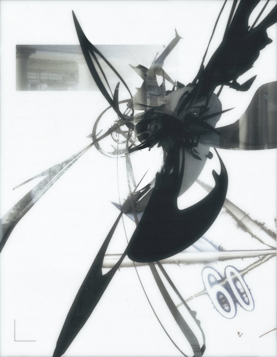 ➰ dove tweet media