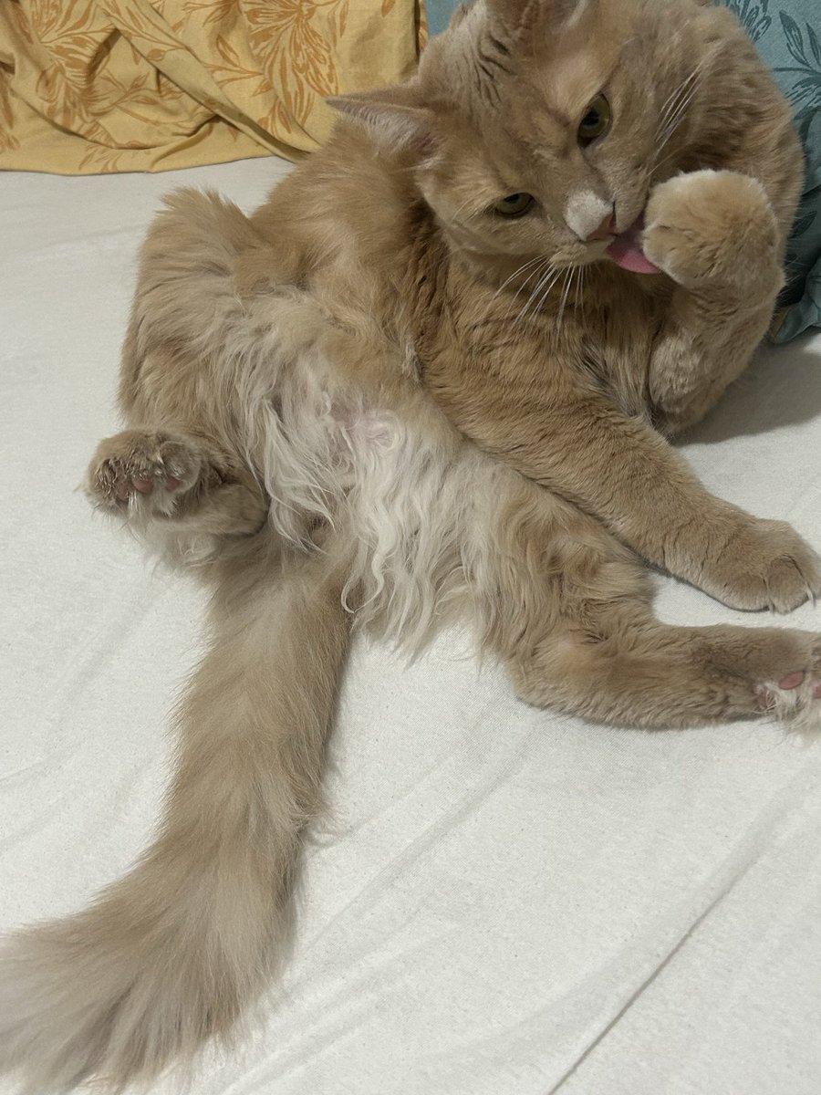 Temislik bisim işimiz