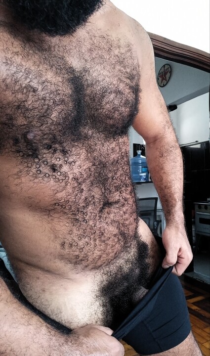 Arab Muscle Bear tweet media