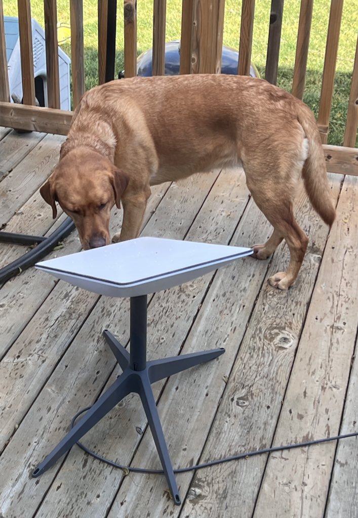 Petit rappel pour les utilisateurs réguliers de Starlink : si vous n’avez pas mis à jour votre Starlink depuis un certai