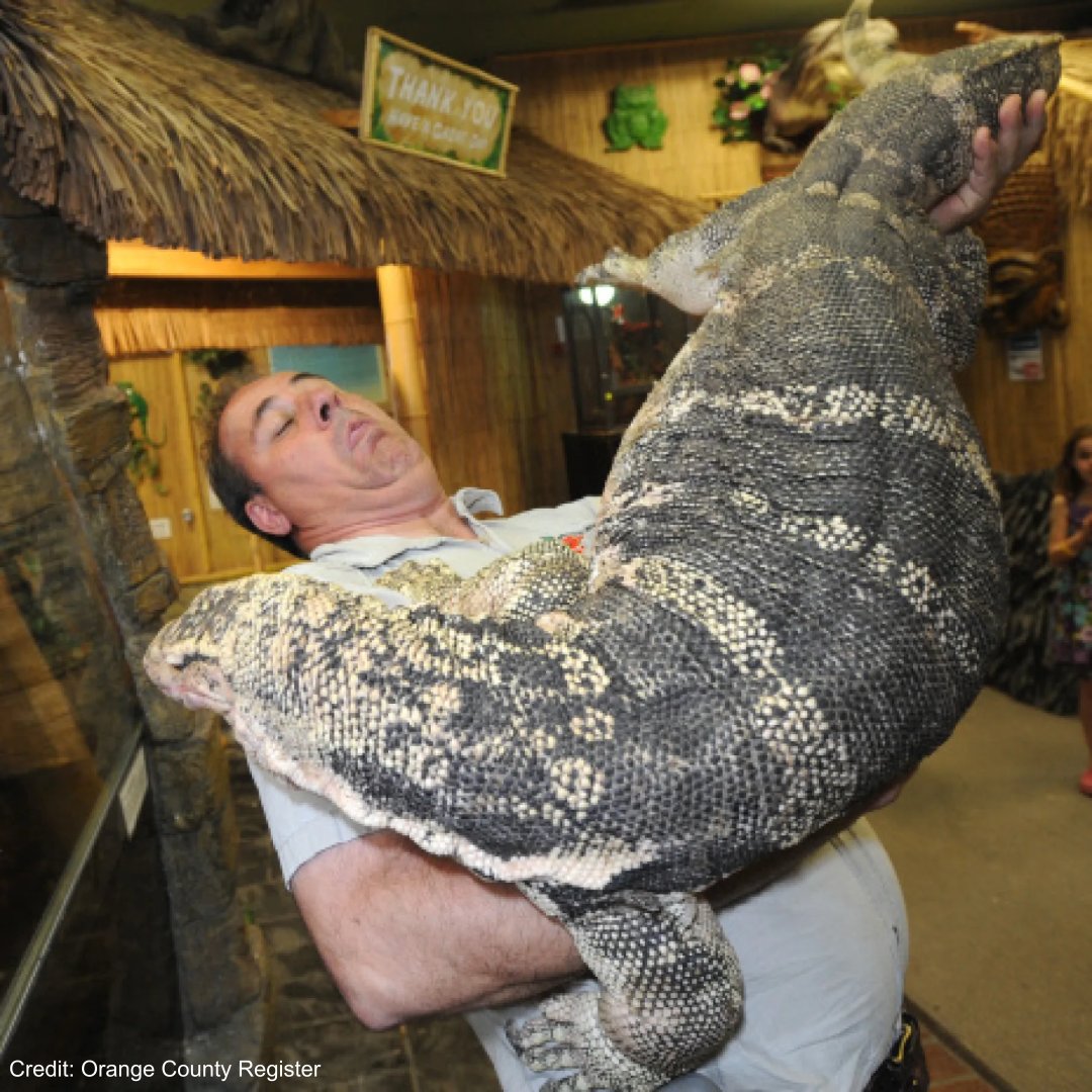 HerpCoder tweet media