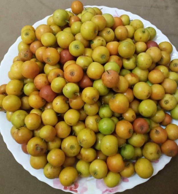 الملكه الحنونه 🇸🇦 tweet media