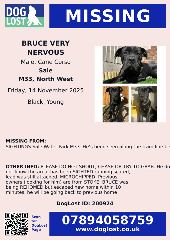 🆘14 NOV 2025 #Lost BRUCE VERY NERVOUS YOUNG Black Cane Corso Male #ScanMe
SIGHTINGS Sale Water Park #M33
Seen along Tram line between SALE &amp; Dane Road #Sale #GreaterManchester
He does not know the area😢
doglost.co.uk/dog/200924