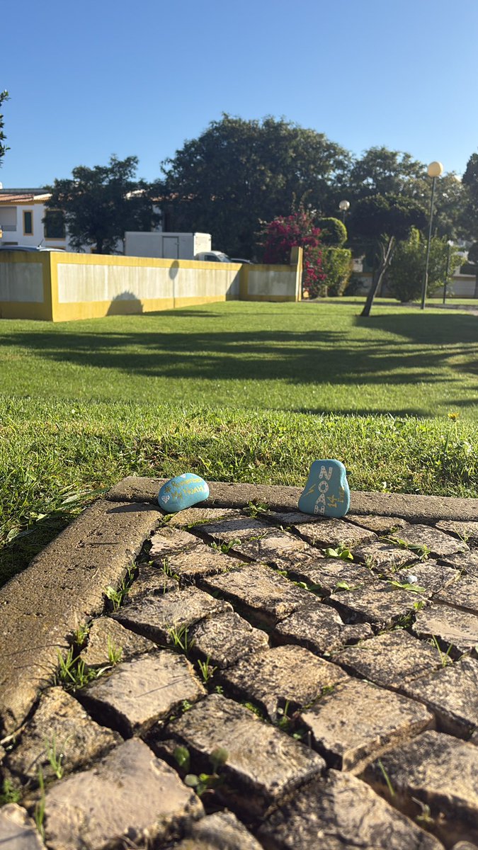 LucyQ1994's tweet image. #week282
#justicefornoahtruthforfiona
#noahsarmy💙⚡️