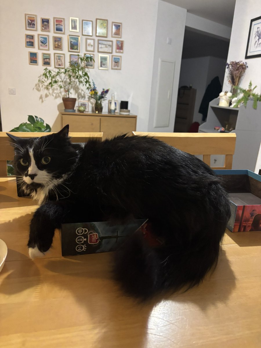 « Mais si je te dis que je suis encore assez petit pour rentrer dans les boîtes de jeu de société »