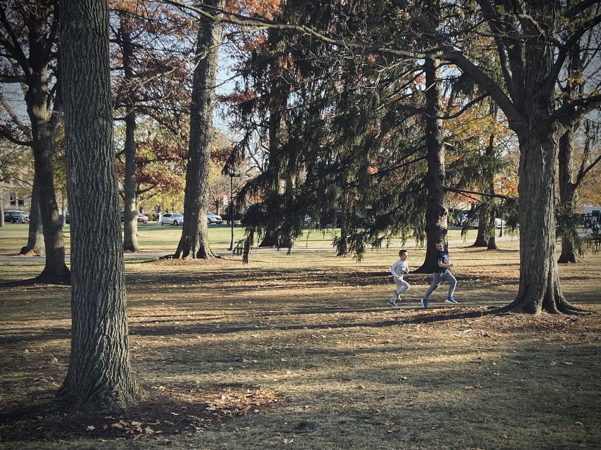 OmniParkService's tweet photo. If you find yourself on the campus of @BallState they have the perfect spot for Tree Tag right outside of Ball Gymnasium!

Tree Tag: https://t.co/8T3rh8h9VF https://t.co/1VMLODsnfJ