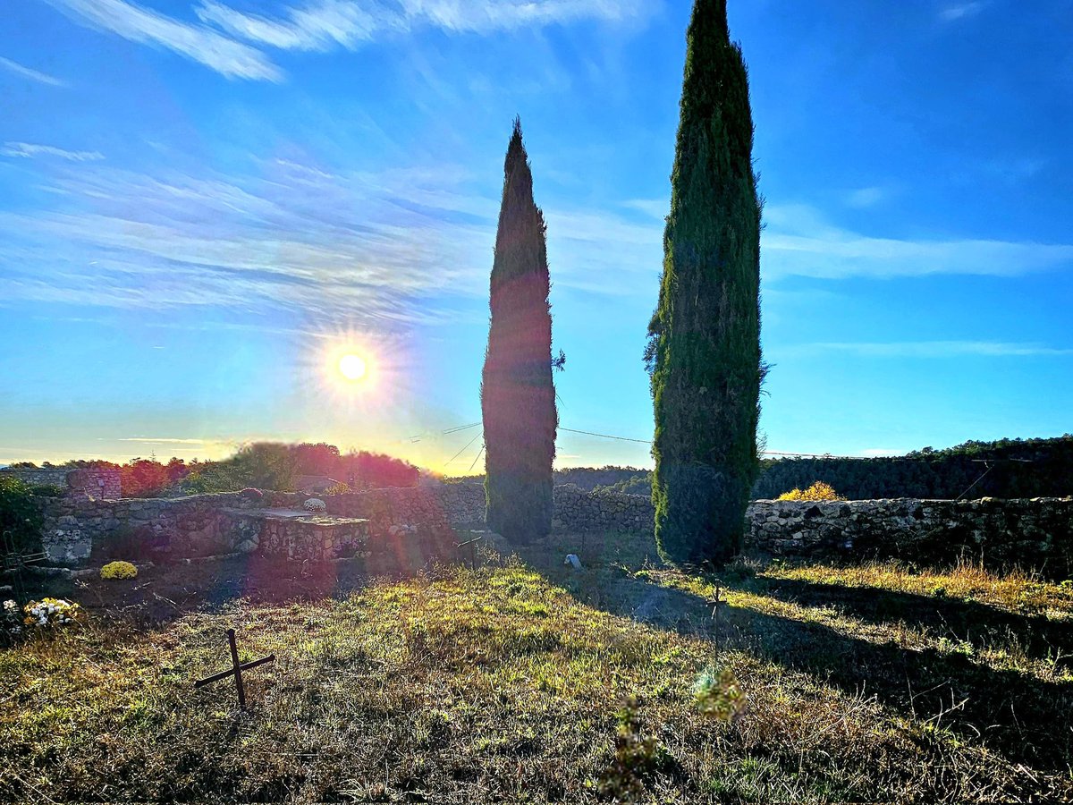 Racons de món privilegiats, prop de casa, on perdre's tot el dia entre alzinars i cingleres, sense veure a ningú i saber que al capvespre trobaràs un refugi acollidor.
#concadebarbera #natura #muntanyesdecatalunya #paisatgesambhistoria #raconssecrets