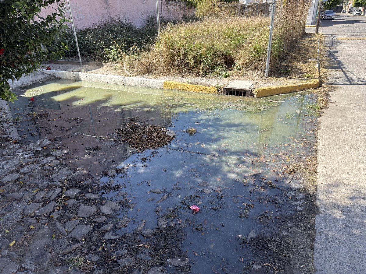VIDXL's tweet photo. @CEAservcliente Buen día, más de un mes con una fuga de drenaje sanitario, y no han hecho nada. Por favor podrían atenderla. Dir. esquina de cabo cañaveral y Miami, col la florida. https://t.co/scacNKka0K