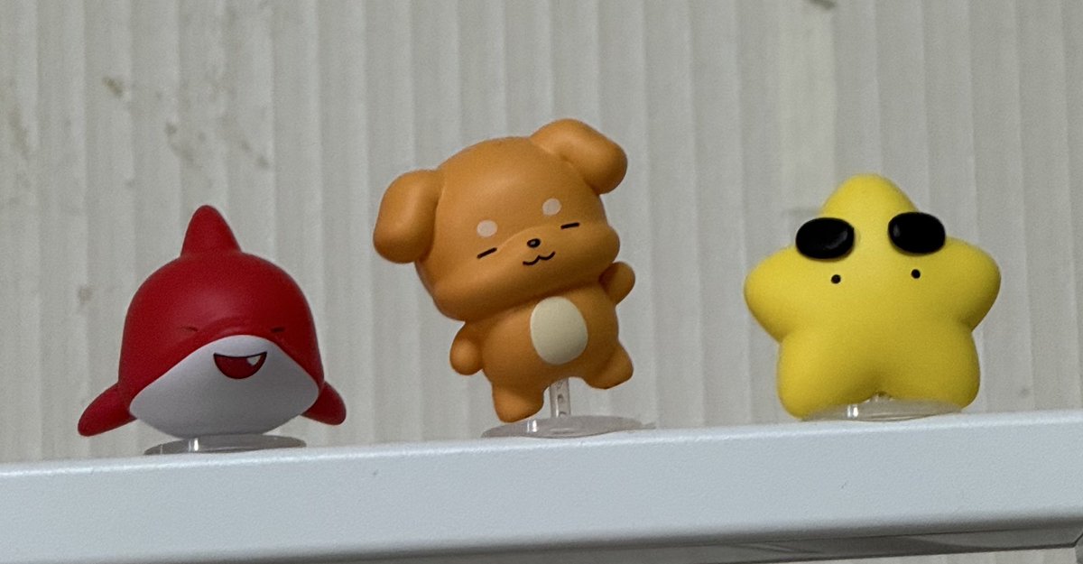 저희집 어떤 개
자꾸 한쪽 발이 떠요~ㅠㅠ
귀여웠는데 너무 귀여워짐..