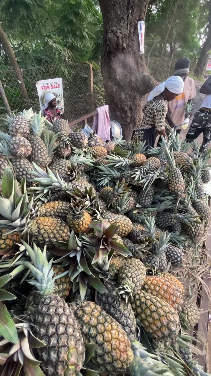 Each one is 2 GHC. How many do you need? I'll deliver them to you when I'm back in Accra!