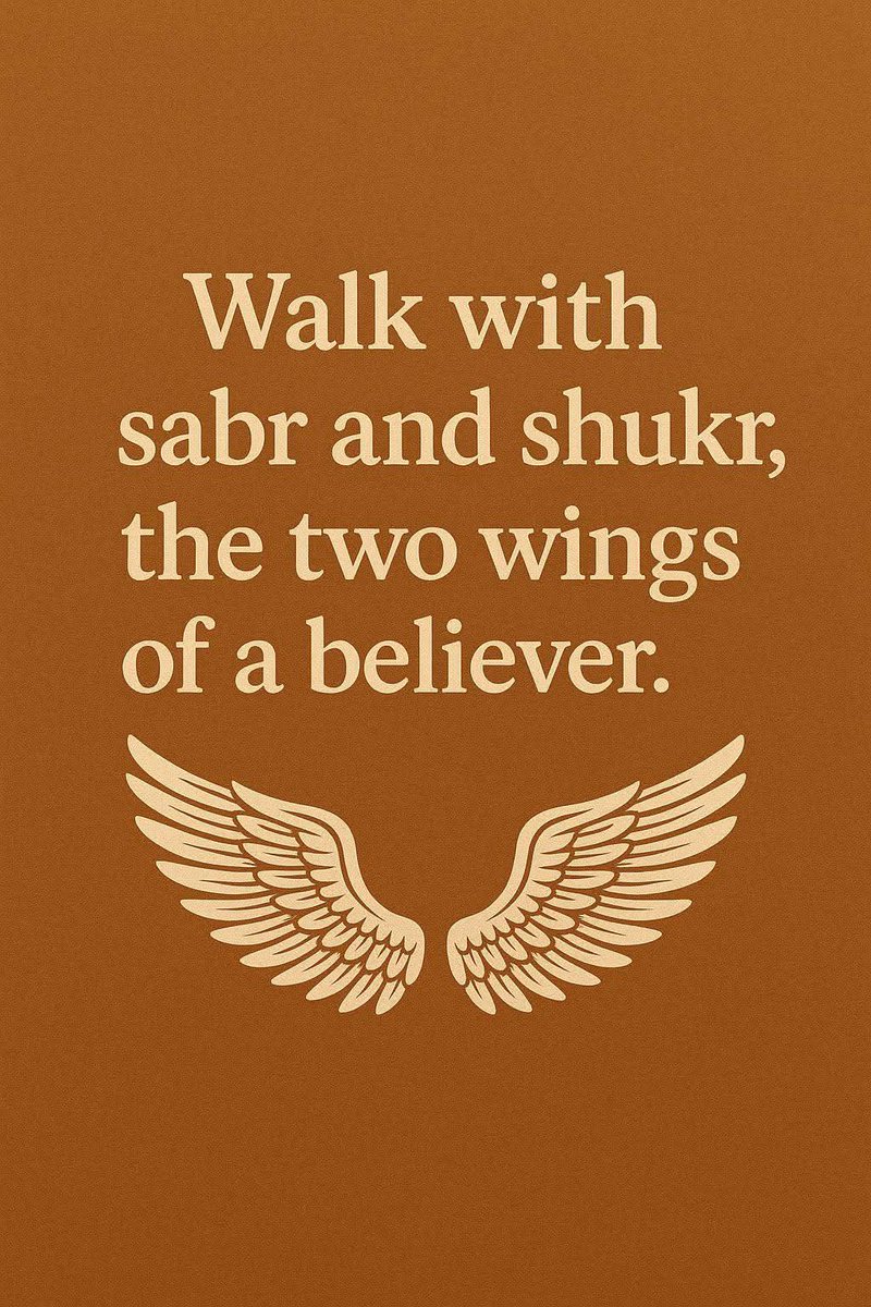 anmichael2808's tweet image. Belivere