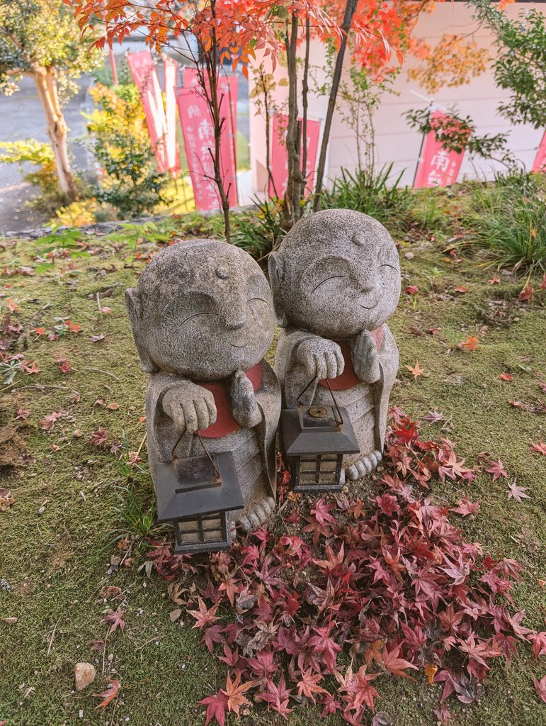 roots 7593 (@deepdrivexs) / Posts / X