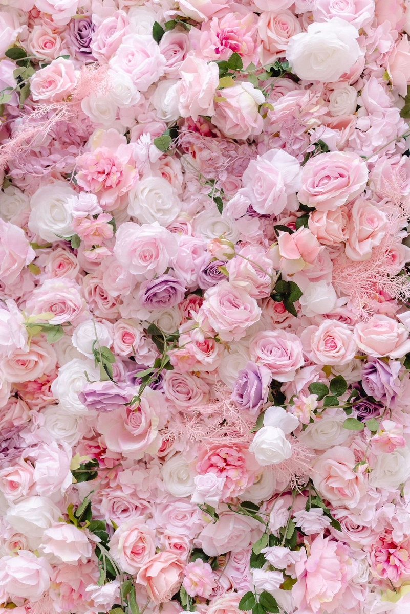 Angela (@angela3789677) on Twitter photo 