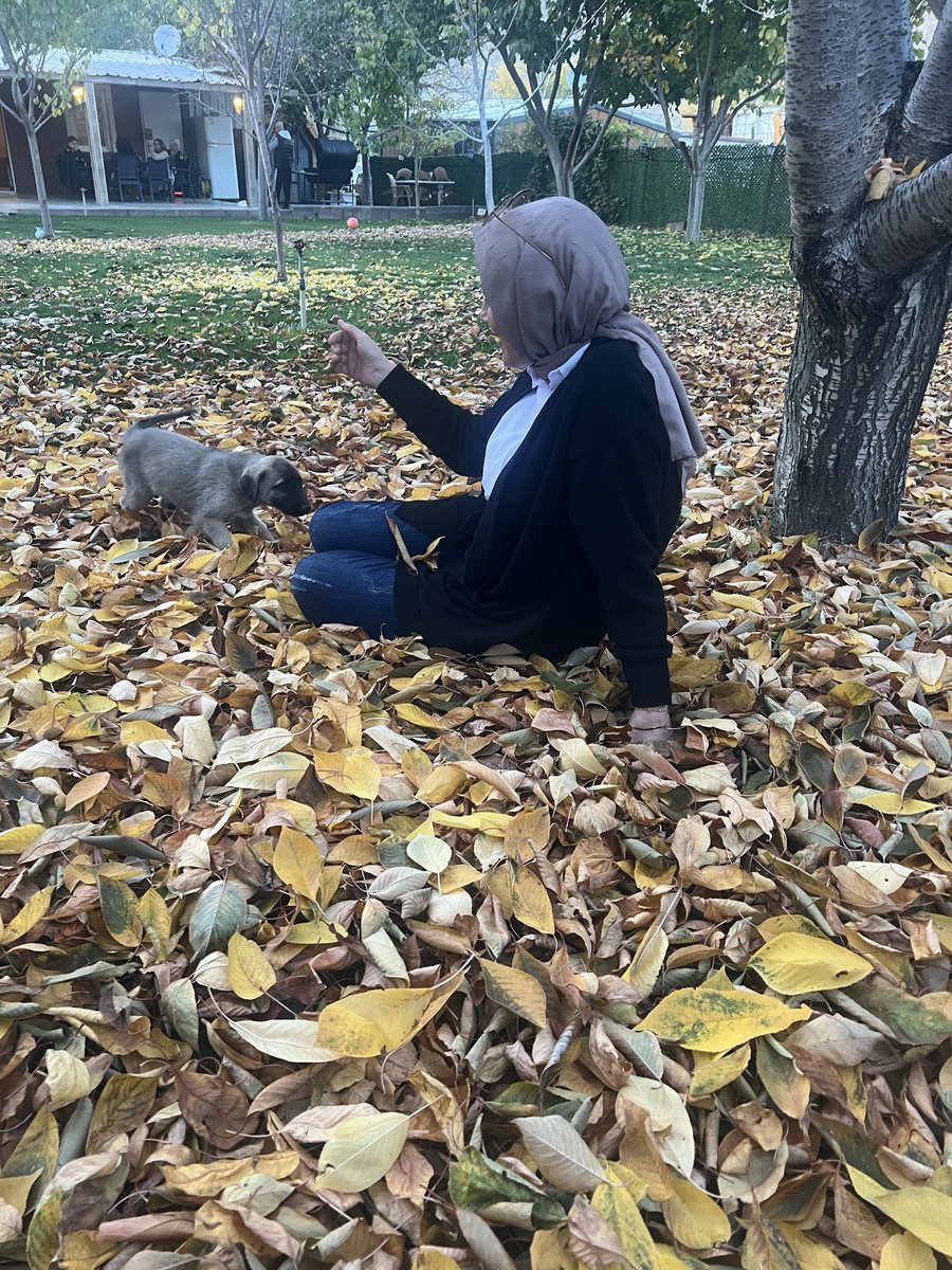 "Ne diyordu üstad;
Yalansız dolansız en samimi
mevsimdeyiz.
Çürüyen kuruyan ne varsa
dökülüyor bir bir dalından. .
          🍂🤎🍂