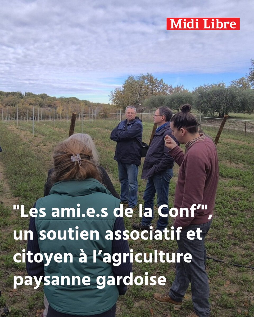 MidiLibreNimes's tweet image. &quot;Les ami.e.s de la Conf’&quot;, un soutien associatif et citoyen à l’agriculture paysanne gardoise
➡️ l.midilibre.fr/ZPmz