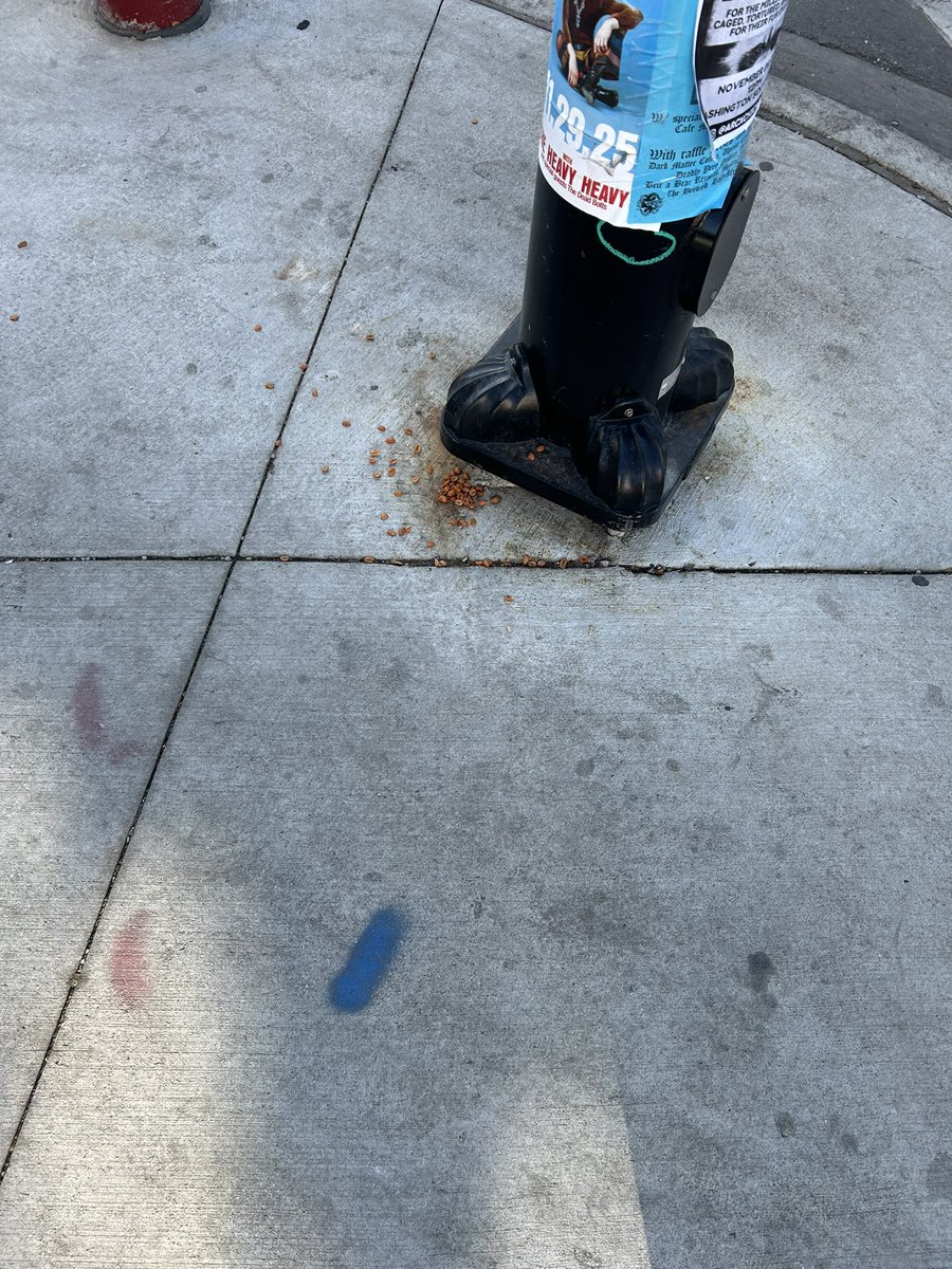 trashndgarbage's tweet image. Pile o’ peanuts