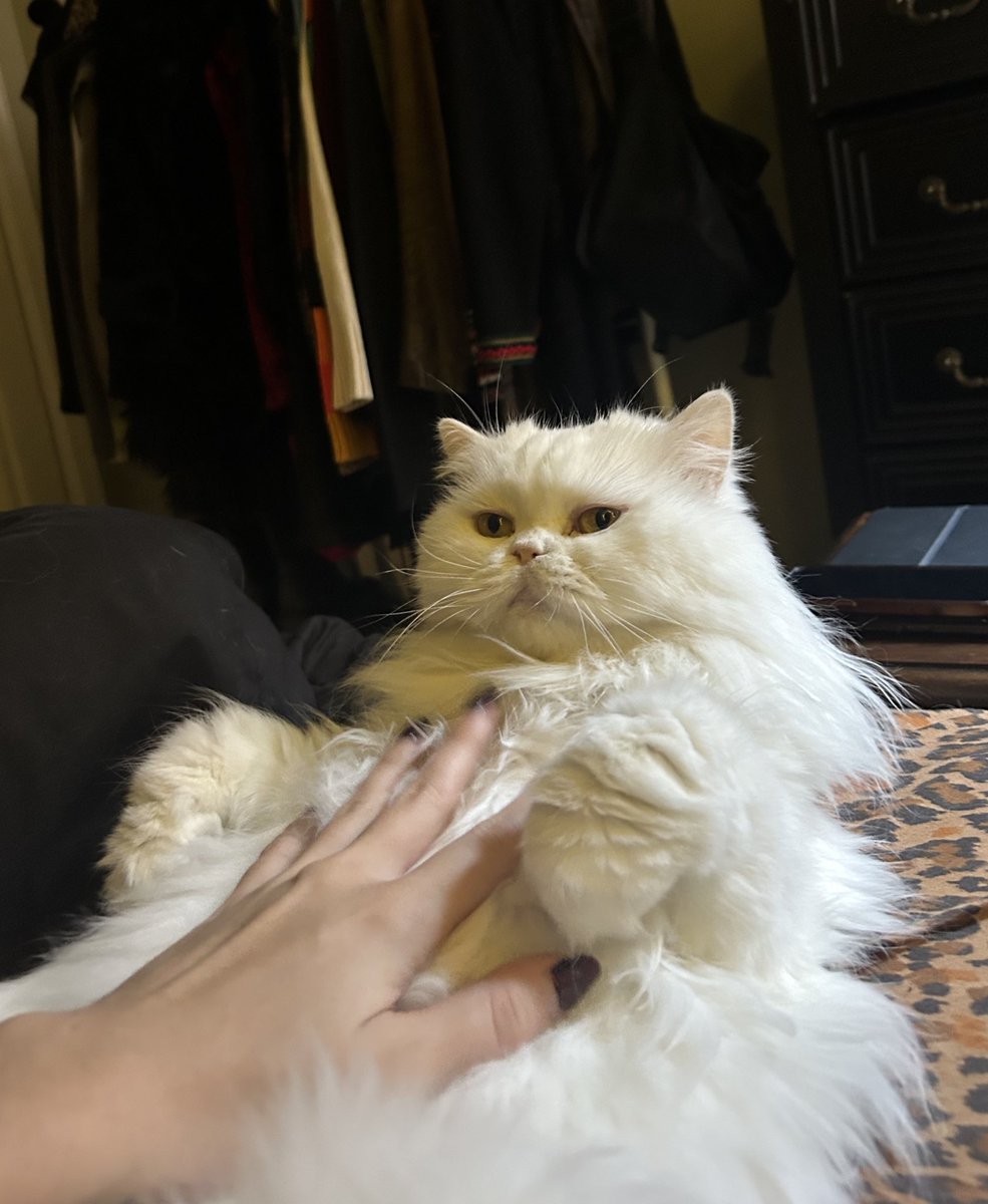 d1v1n3yay's tweet image. cuddle time