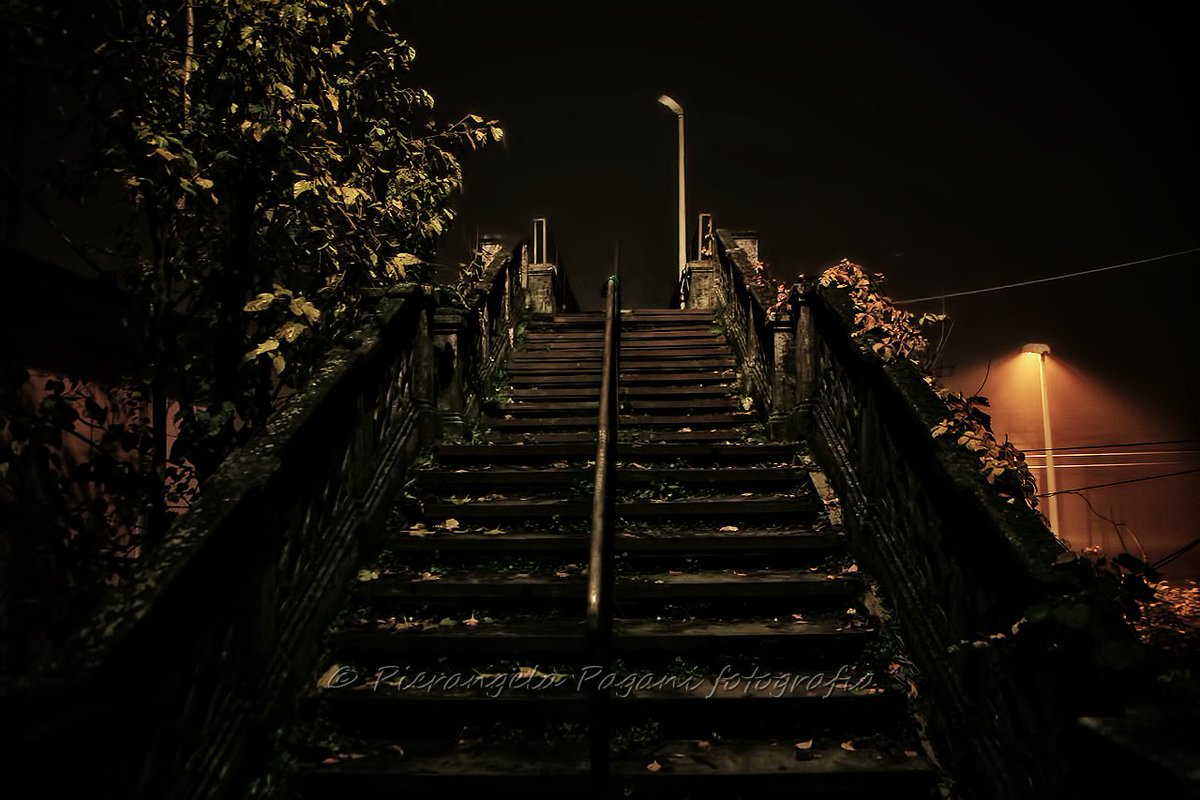 @ferrarisergio4 tweet media