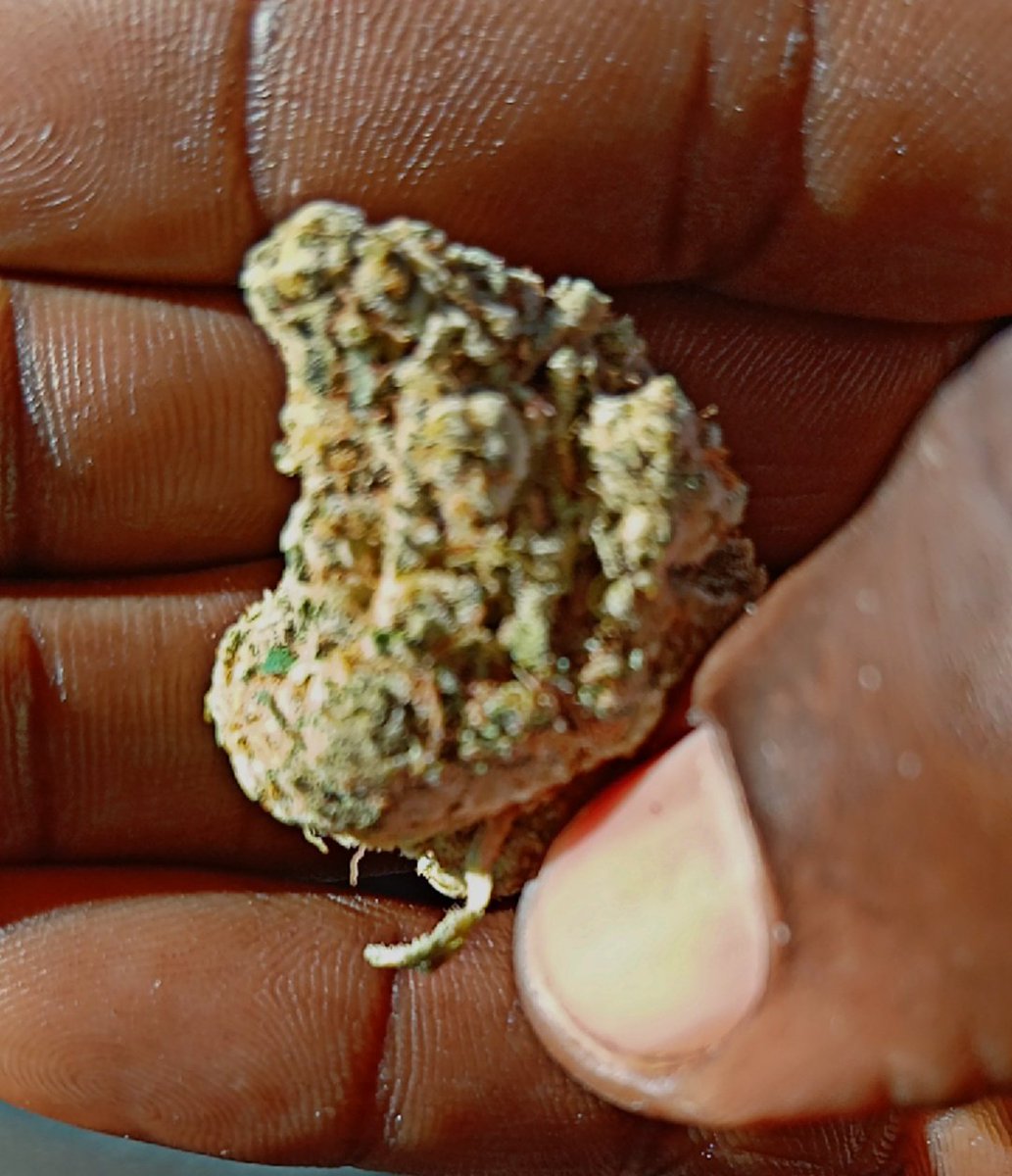 You will always find love draining if you date people you have to raise.