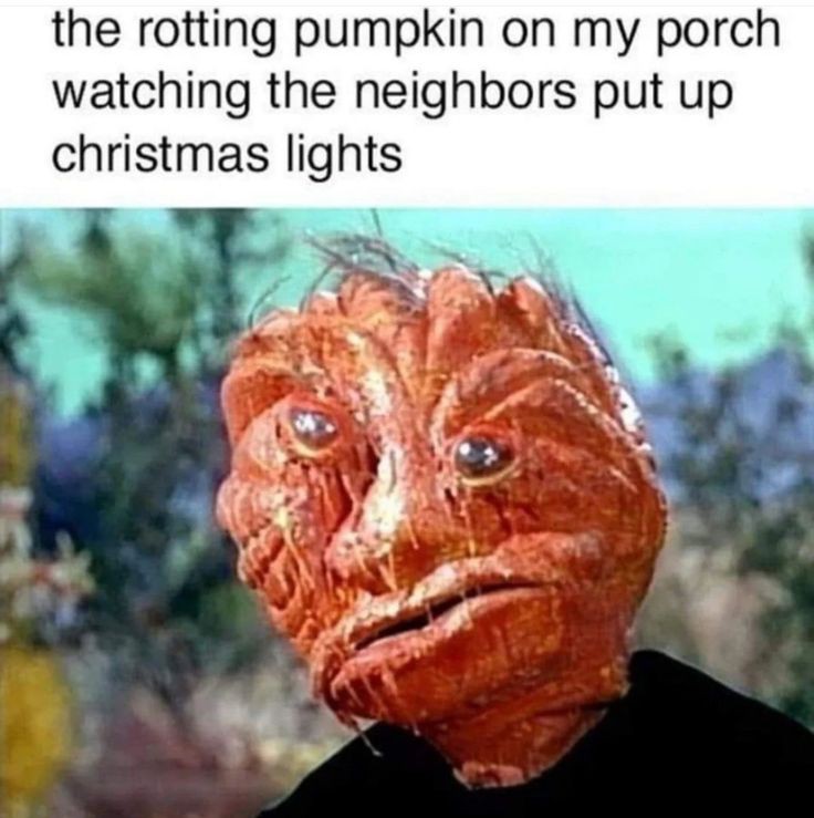 Jayskull tweet media