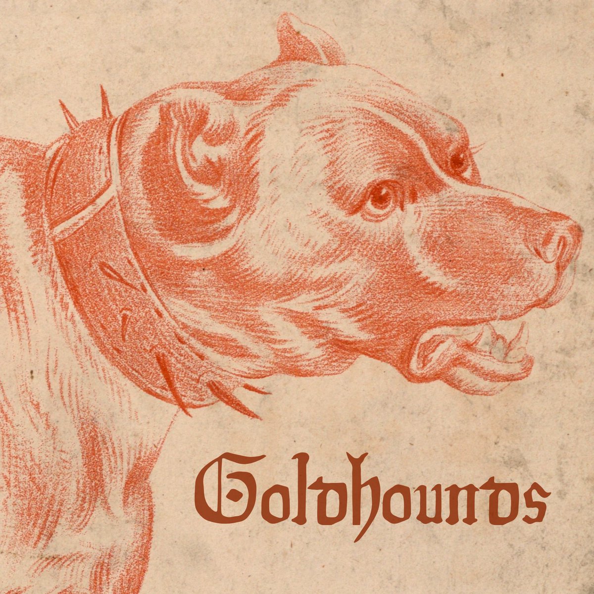 Wild Dogs tweet media