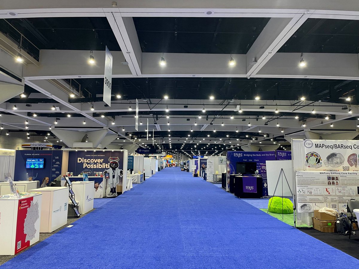 MetaCell tweet media