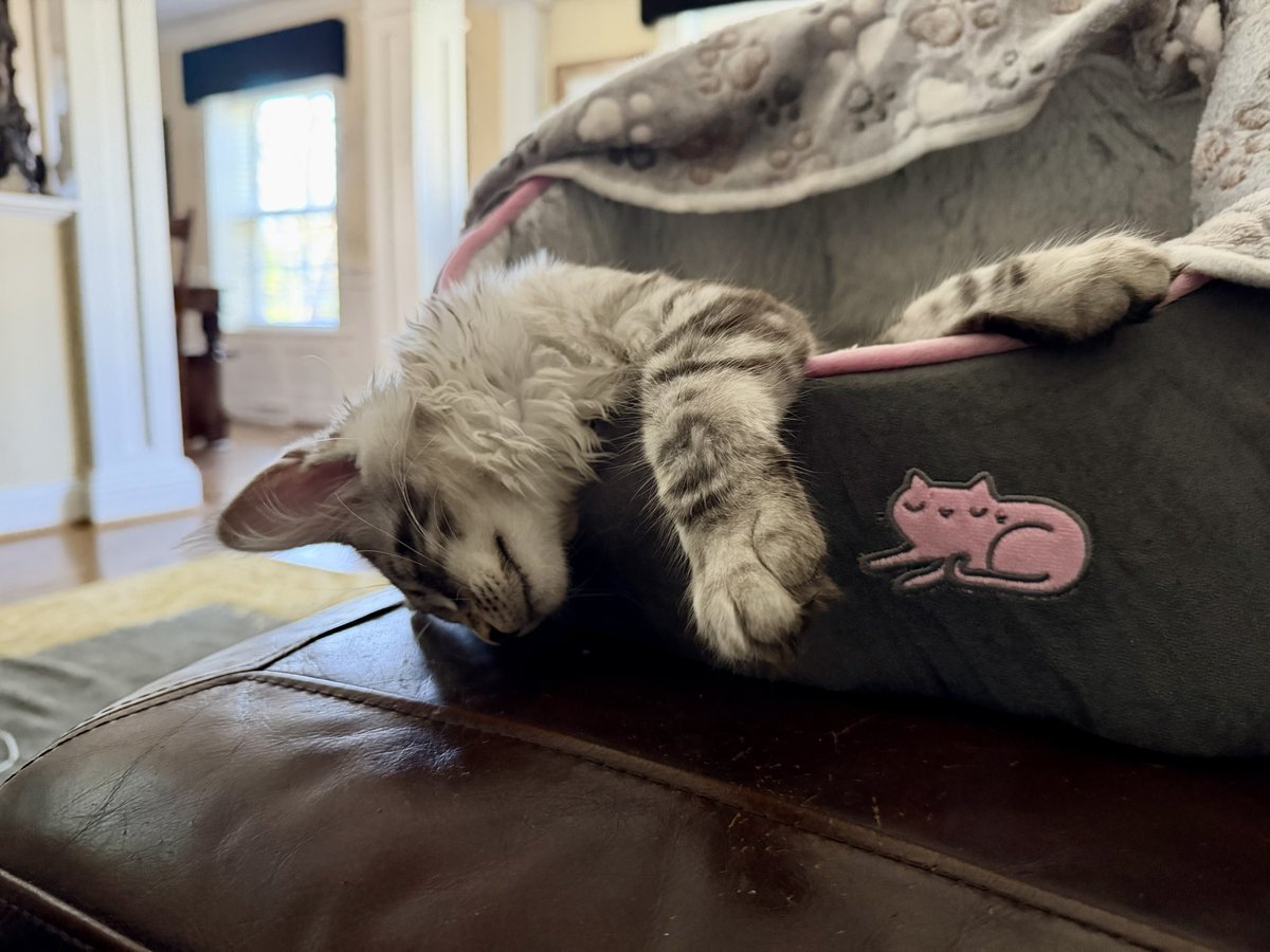 I used to sleep like this during my drinking years.