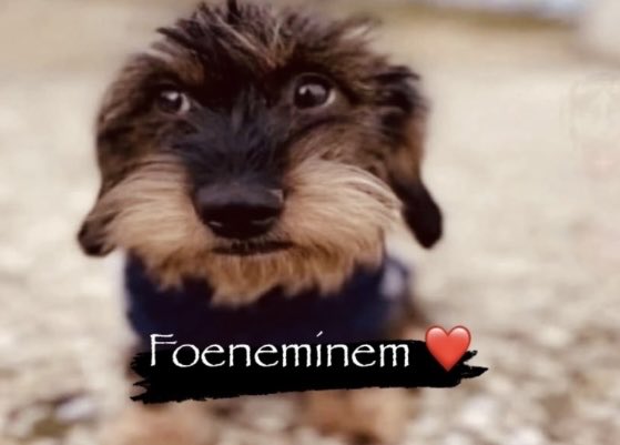 Spirit_Wave117's tweet photo. @XER0SMITH I love you Foenem. WE love you Foenem. Stay healthy and energized Foenem. God bless ❤️ https://t.co/HQQiBZ1YNd