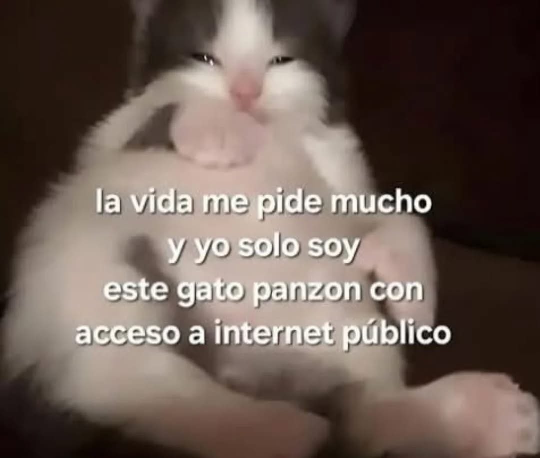 DiloConGatitoz's tweet image. 