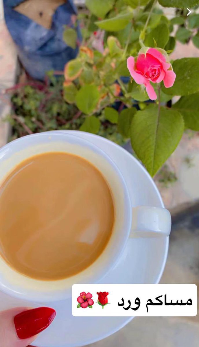 trbwkstrbox's tweet image. 🌹🌹🌹