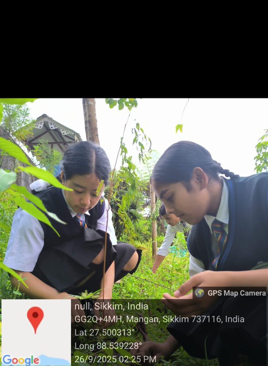 IAHV Read Library tweet media